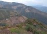 La tala indiscriminada de bosques preocupa a las autoridades ambientales de la provincia de Ocaña y sur del Cesar.