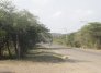 Vereda Patillales