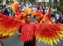 Lista la programación de las preferias y ferias de Cúcuta 2026
