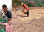 Son muy pocos los productores que se adelantan a las pérdidas y se soportan en un seguro agropecuario. / Fotos cortesía