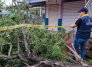 Vendaval Cúcuta