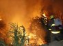 Alerta roja en Cúcuta por incendios forestales. Foto: Cortesía