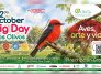 El Parque de Vida Los Olivos llega a 86 especies de aves registradas y se prepara para su segundo October Big Day