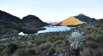 El páramo genera agua para municipios de los Santanderes. /Foto Archivo