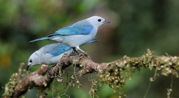 •	Turismo de naturaleza, nacional y rural, las principales tendencias para el próximo año. / Foto: Colprensa