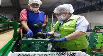 Las autoridades tienen registrados 15.000 productores.
