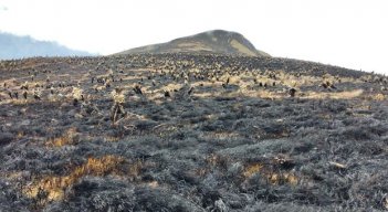 El corregimiento de Mohán, que pertenece al municipio de Suratá en Santander, fue el más afectado. / Foto: Cortesía/ La Opinión 