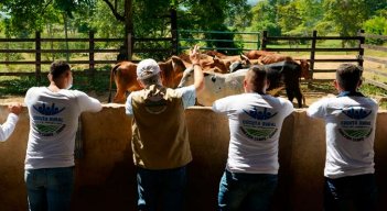 La iniciativa corresponde al programa Campo-ciudad que la alcaldía está implementando en el sector rural de Cúcuta.