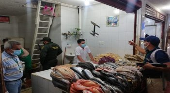 Los pescados son traídos por lo general desde el río Magdalena. / Foto: Cortesía