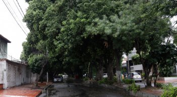 Quinta-Oriental