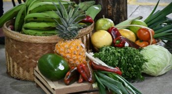 Son 34 asociaciones de 14 municipios beneficiando a 2.230 familias de la red de productores con asistencia técnica agropecuaria /Cortesía /La Opinión