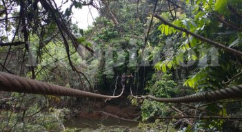 Ante la falta de un puente, en la vereda La Llana de Tibú sus habitantes cruzan sobre las cuerdas que aún quedan de la estructura. / Foto: Cortesía