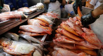 Se estima que, del total de la producción para esta Semana Santa, el 15% sea de pesca artesanal, 24% de la pesca industrial y 61% de cultivo. / Foto: Colprensa