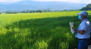 La Unidad de Restitución de Tierras (URT) hizo entrega material de los predios ‘Las Delicias’ y ‘Quebrada Seca’ a José Guillermo Márquez y Rosmira Gélvez. / Foto: Cortesía