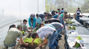 Línea de créditos para jóvenes emprendedores del agro