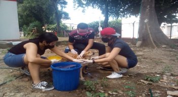 Este voluntariado busca que las personas tomen conciencia ante la responsabilidad de los animales que conviven en los entornos cercanos./Foto: Cortesía.