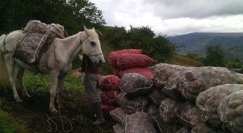 Los pequeños productores venderán a buenos precios./FotoCortesía