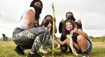 Siembra de árboles en Cúcuta.