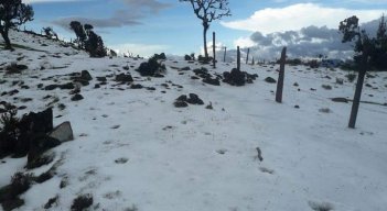 En la vereda El Llanito de Capitán Largo perdieron todos los cultivos. / Cortesía/ La Opinión 