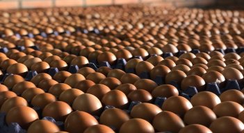 Las amas de casa ponen el grito en el cielo por los elevados precios de la canasta familiar, especialmente los huevos y el pollo. / Cortesía/ La Opinión 