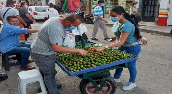 Uno de los atractivos del mes de agosto es la cocota que la gente la consume sola, con sal, pimienta o limón para armonizar momentos de esparcimiento con familiares y amigos./Foto: La Opinión