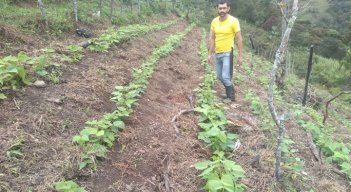 A los productores beneficiados les entregan una donación de capital semilla en insumos agropecuarios para que puedan ejecutar sus emprendimientos productivos. / Foto: Cortesía