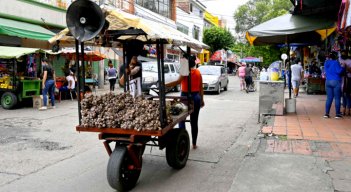 Carretas abundan en el centro de la ciudad.