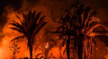 Los incendios en la Amazonía brasileña cuando comenzó la temporada de incendios se mantuvo cerca de los máximos de casi una década. / Foto: AFP