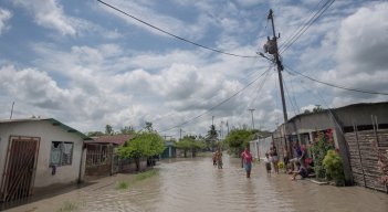 En La Fortuna, en el estado Zulia, los agricultores perdieron sus cultivos por las lluvias e inundaciones de los últimos días./ Foto: AFP