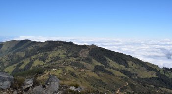 Norte de Santander ha sufrido un intenso proceso de deforestación en las últimas décadas./Archivo La Opinión