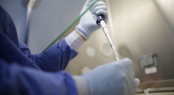 En Norte se reportaron 263 casos y 3 muertos