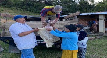 Las familias beneficiadas recibieron un cerdo y dos bultos de concentrado. Foto: Cortesía/La Opinión.
