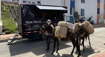 La Federación promueve mecanismos para las alianzas productivas.