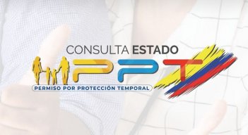 consulta-PPT