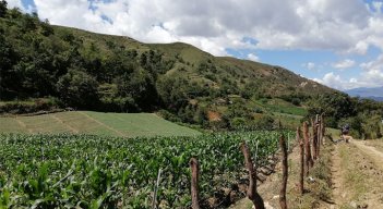 Tierras-cucutilla