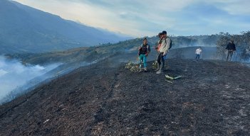Incendio forestal.