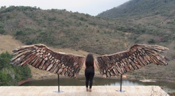 Las alas miden cinco metros de largo.