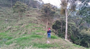 El proyecto agropecuario contará con seis vacas para iniciar un proyecto de ganadería de doble propósito; de levante y ceba.