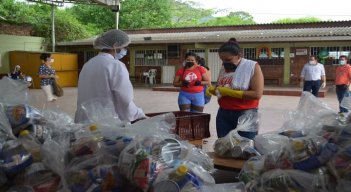 Juez municipal favorece tutela que ordena la implementación del PAE
