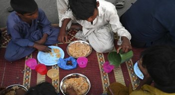 alimentos 