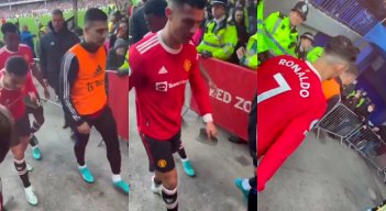 El 'bicho' no tuvo reparos en dañar el celular y seguir caminando tranquilamente