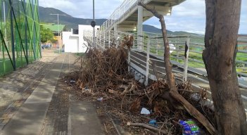 Falta de podas, residuos, inseguridad, entre otros son los inconvenientes que se presentan en el polideportivo./ Foto: Cortesía