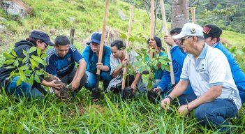 Reforestan cuenca de la quebrada La Mutis, en Los Patios/Foto cortesía