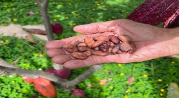Actualmente hay 60 asociados y elaboran  diferentes productos./ Fotos: Cortesía 