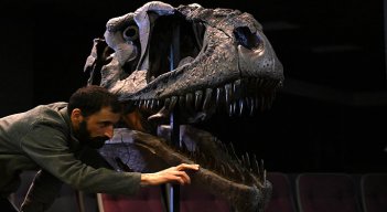 Descubren dinosaurio en Argentina.