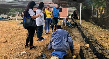 Semillas de paz