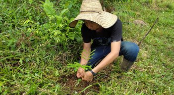 Convertirán las fincas en bosques en Norte de Santander./Foto: cortesía Corponor