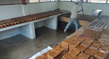 Producir un kilo de panela cuesta $3.370, pero los productores reciben un valor mínimo de entre $2.400 y $2.600. / Foto Archivo