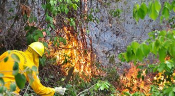 Bomberos de Cúcuta apagan un incendio forestal/Foto archivo
