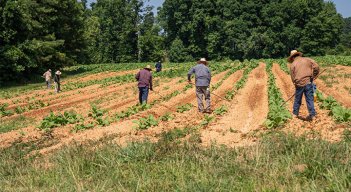 Hay un rol crucial que están cumpliendo las startups en la digitalización del agro. / Foto: Cortesía